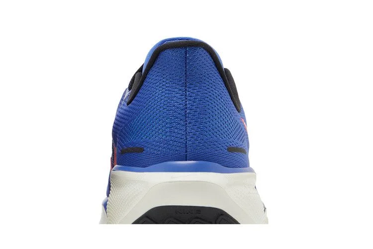 Кроссовки Nike Air Zoom Pegasus 41 'Astronomy Blue'