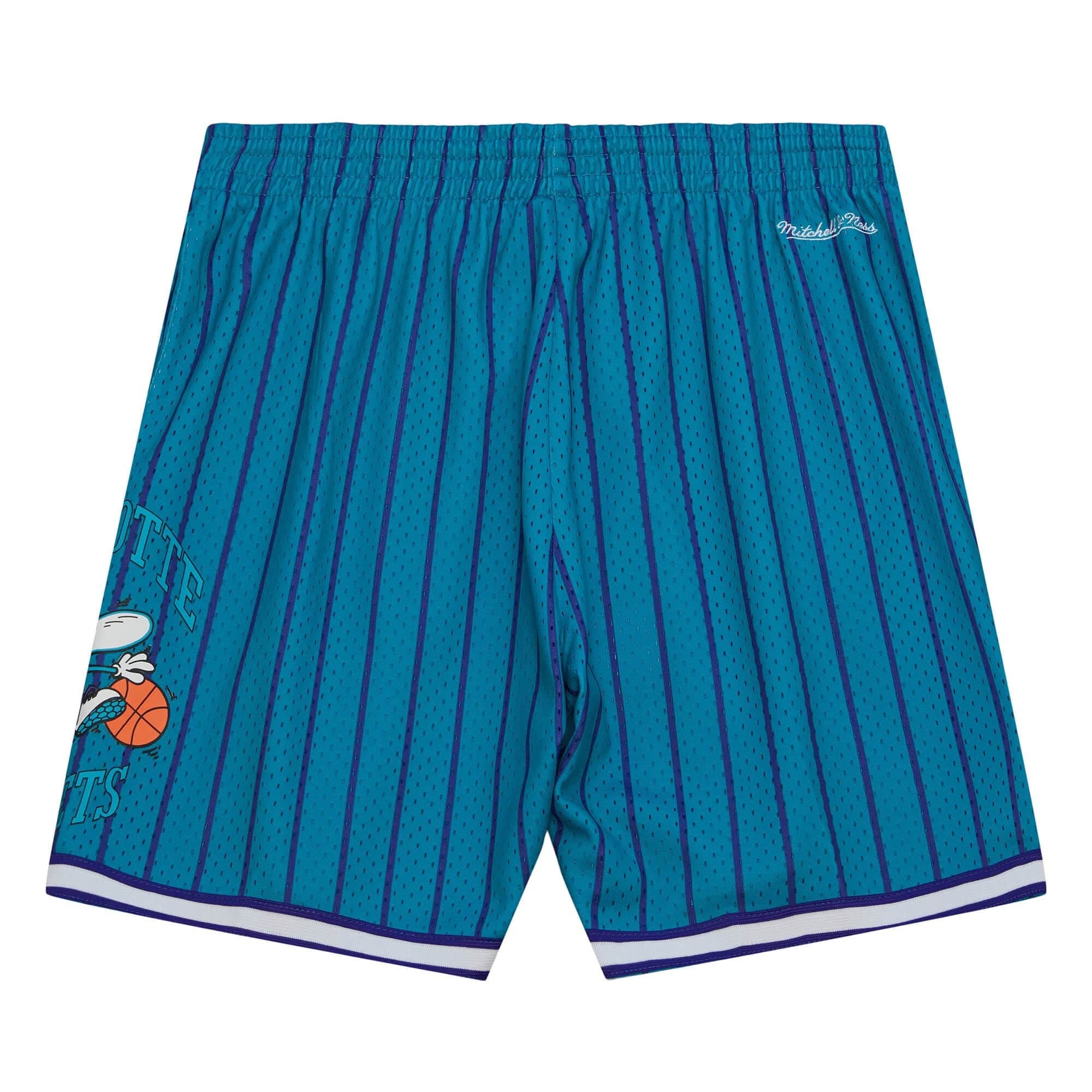Спортивные шорты Mitchell & Ness City Collection Mesh Charlotte Hornets Shorts