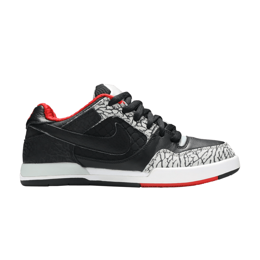 paul-rodriguez-2-zoom-air-315459-001