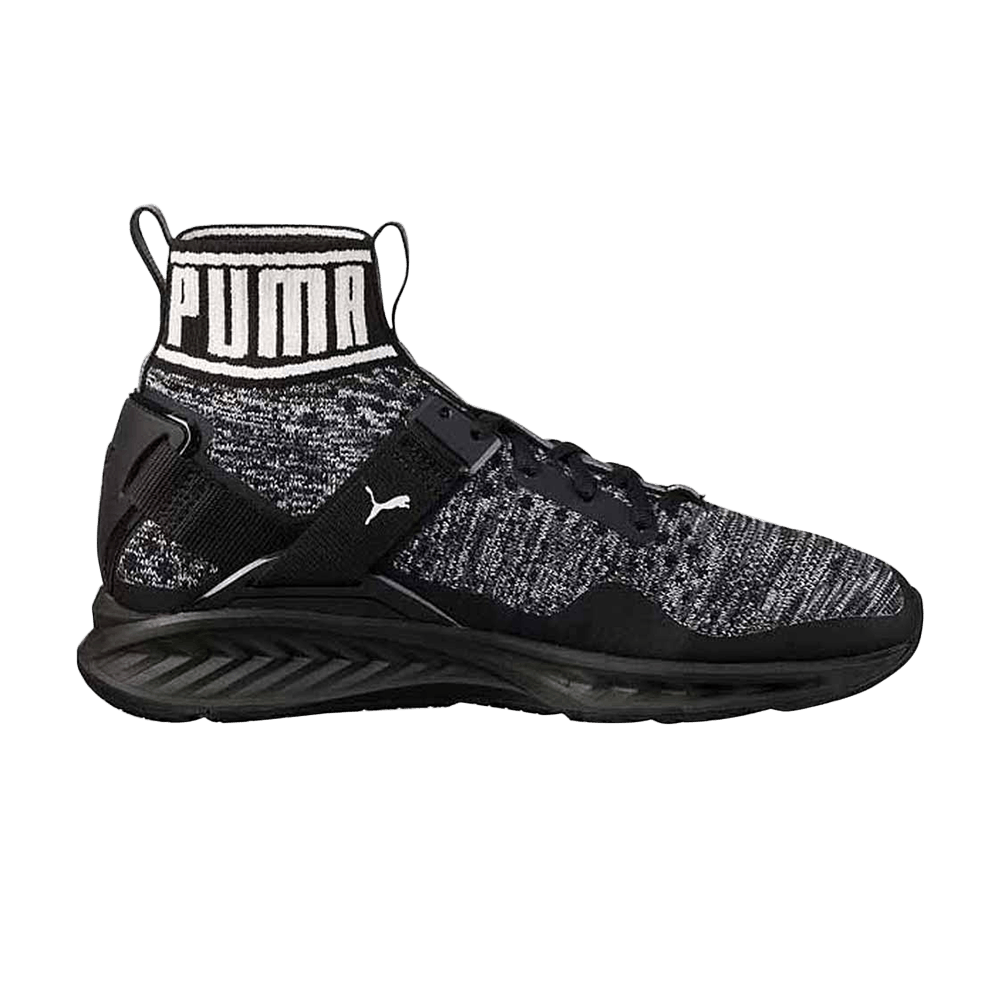 Кроссовки Puma Ignite Evoknit
