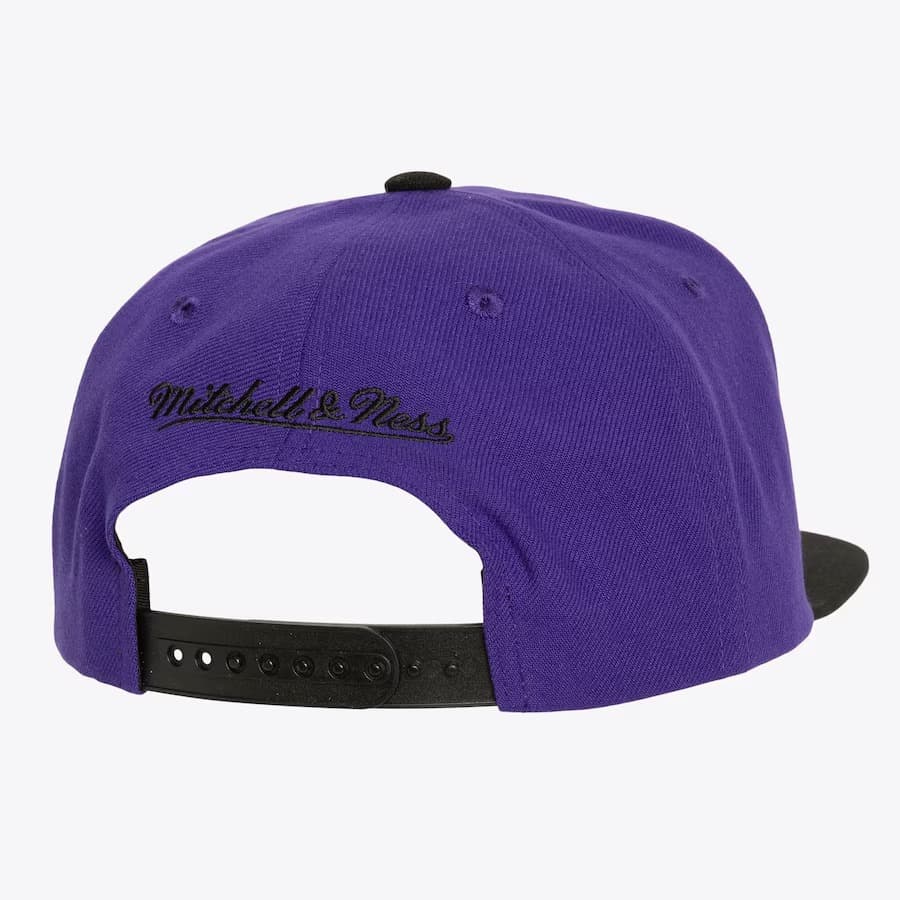 Бейсболка Mitchell & Ness Purple Toronto Raptors Hardwood Classics City Love Snapback Hat