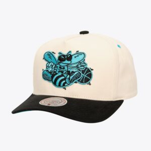 Mitchell-Ness-Cream-Charlotte-Hornets-Hardwood-Classics-Overspray-Pro-Crown-Snapback-Hat-300x300