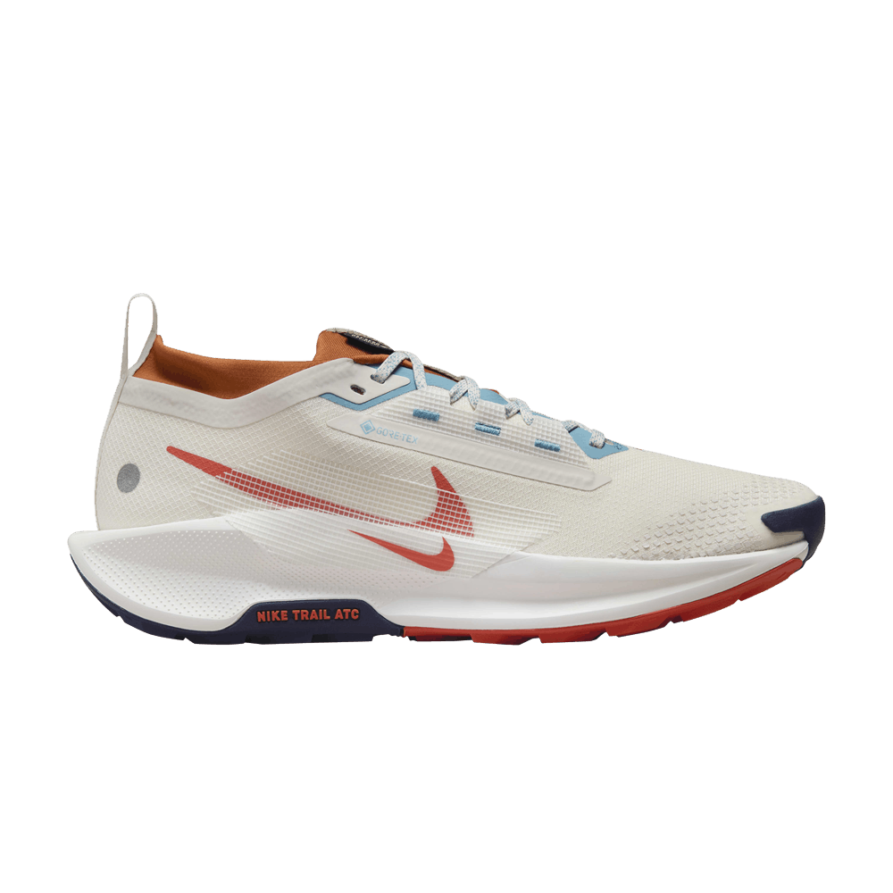 Кроссовки Nike Pegasus Trail 5 GORE-TEX 'Phantom Vintage Coral'