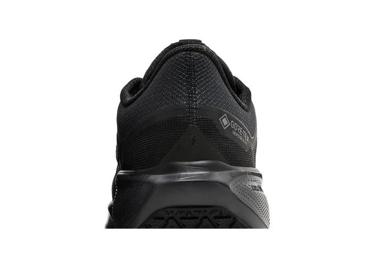 Krossovki-Nike-Air-Zoom-Pegasus-41-GORE-TEX-Black-Anthracite-6