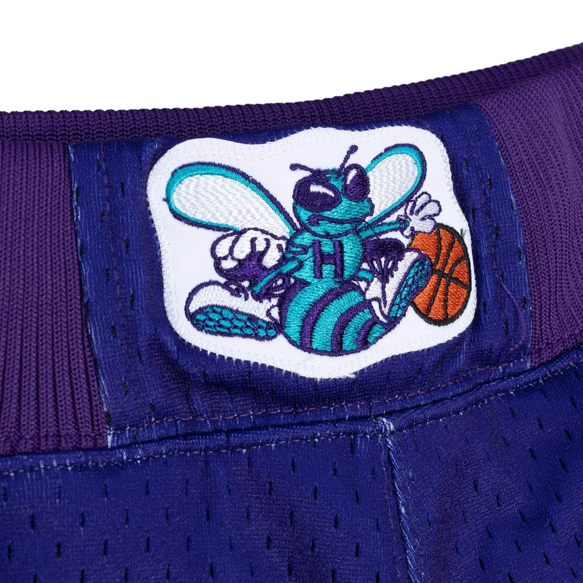 Спортивные шорты Mitchell & Ness Authentic Charlotte Hornets Alternate 1994-95 Shorts