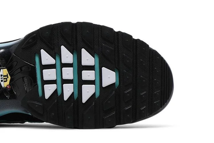 Кроссовки Nike Air Max Plus 'Aqua Silver'
