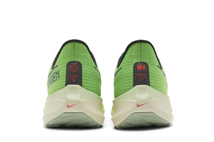 Кроссовки Nike Air Zoom Pegasus 39 'Ekiden Zoom Pack'