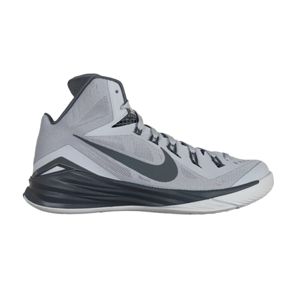 Krossovki-Nike-Hyperdunk-2014-Wolf-Grey