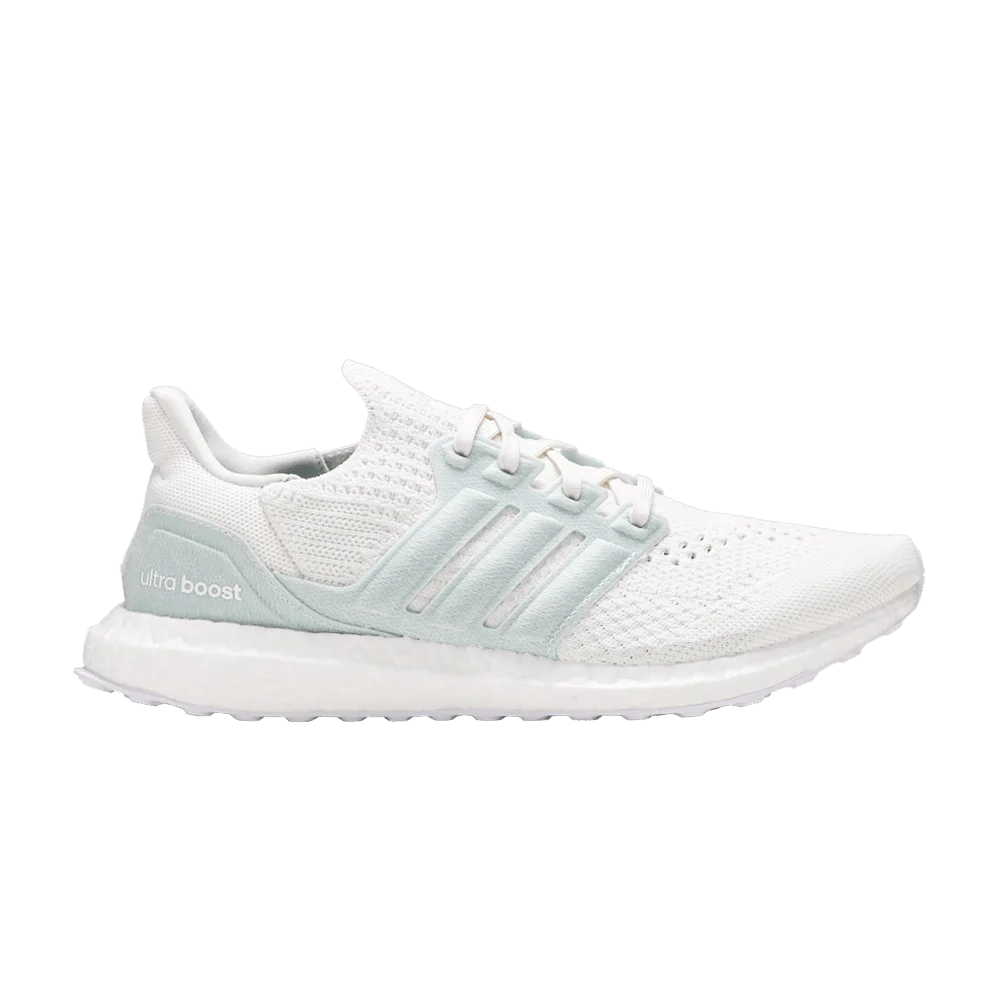 Krossovki-Parley-x-adidas-UltraBoost-6.0-DNA-Non-Dyed