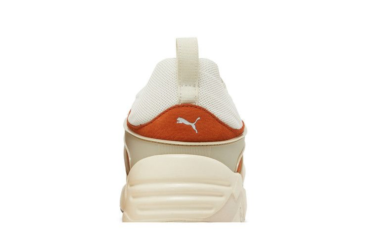 blaze-of-glory-vaporous-grey-warm-chestnut-387575-03_06
