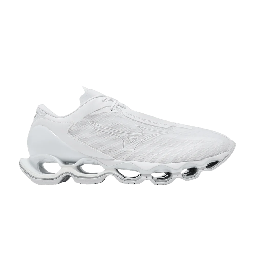 Кроссовки Mizuno Wave Prophecy 12 'White Silver'