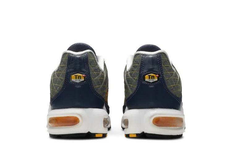 Кроссовки Nike Air Max Plus 'Wave Grid'
