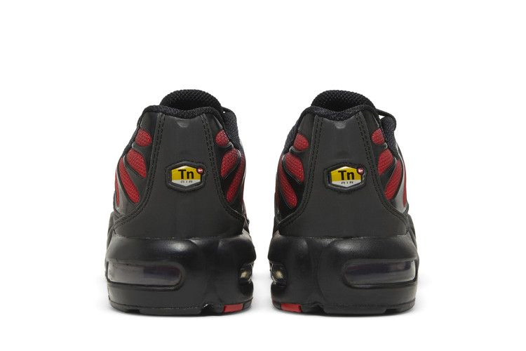 Кроссовки Nike Air Max Plus GS 'Bred Gradient'