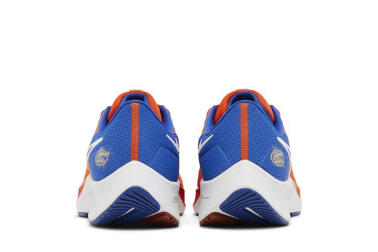 Кроссовки Nike Air Zoom Pegasus 38 'Florida'