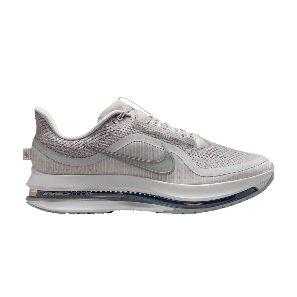 Кроссовки Nike Pegasus Premium 'Vast Grey'