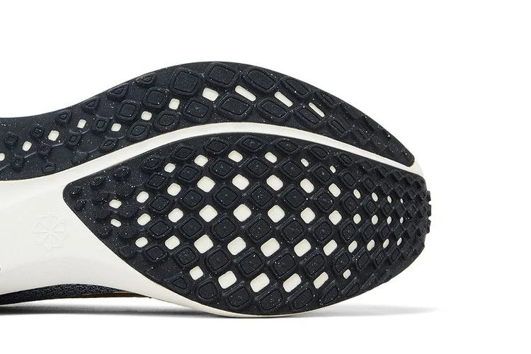 Кроссовки Nike Air Zoom Pegasus 41 Premium 'White Black Metallic Gold'