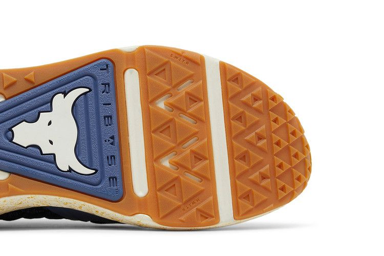 Кроссовки Under Armour Project Rock 6 'Hushed Blue White Clay'