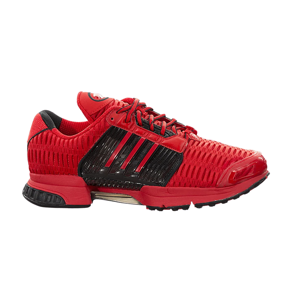 Krossovki-Adidas-Climacool-1