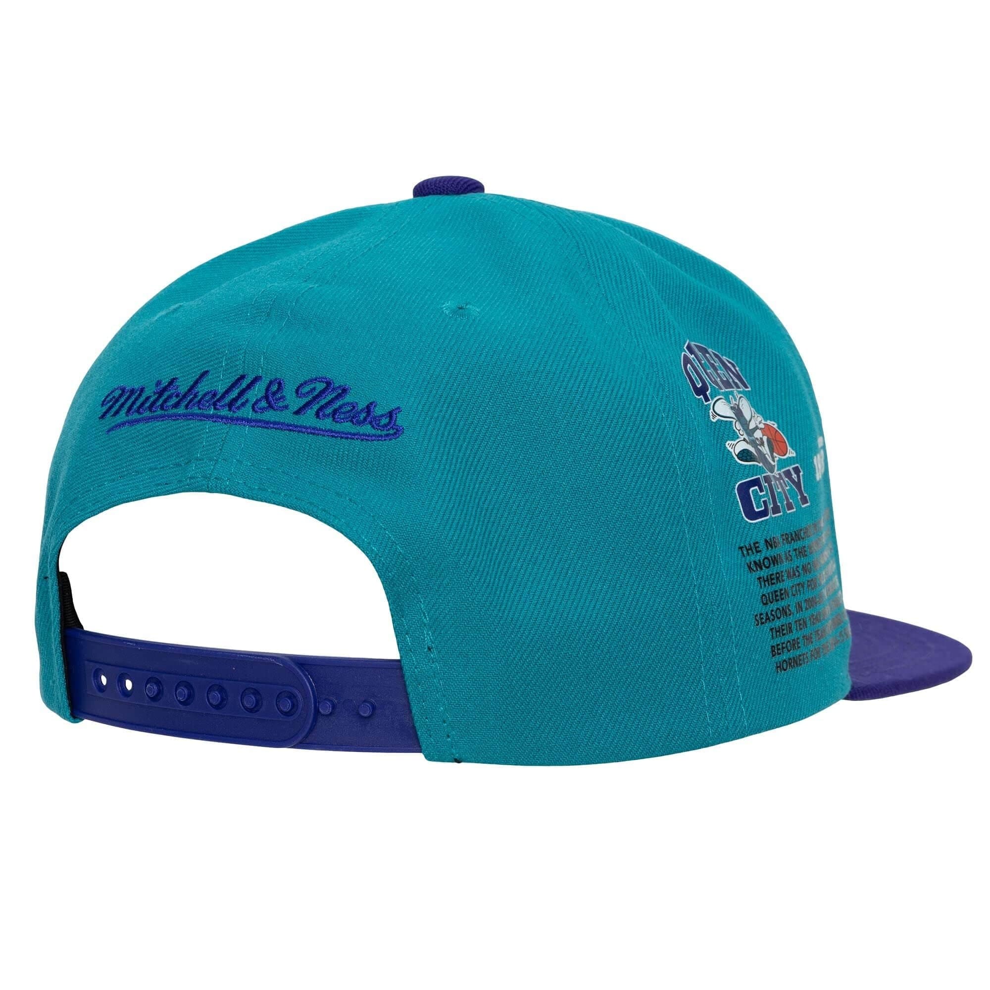 Бейсболка Mitchell & Ness Team Origins Snapback HWC Charlotte Hornets Hat