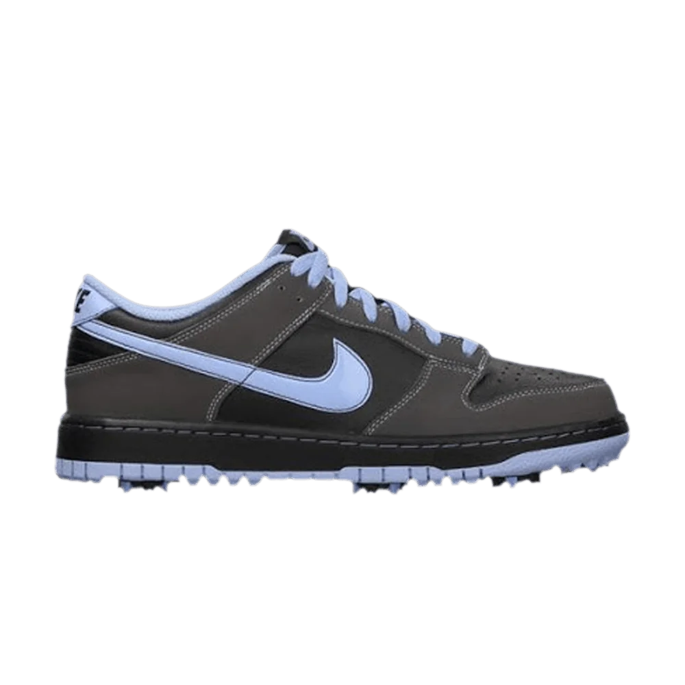 Krossovki-Nike-Dunk-NG-Golf-Black-Light-Blue