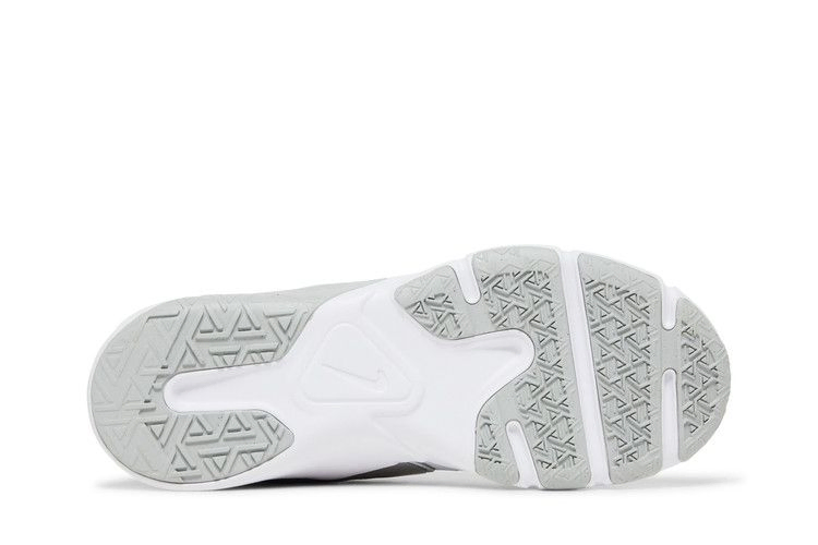 Кроссовки Nike Wmns Legend Essential 2 'Photon Dust Metallic Silver'