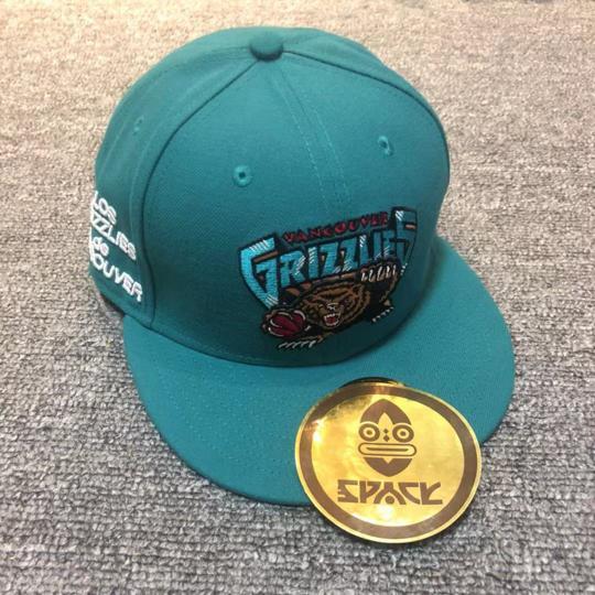 Кепка Vancouver Grizzlies Cap
