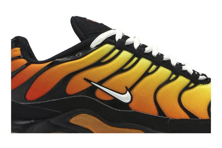 Кроссовки Nike Air Max Plus OG 'Tiger'