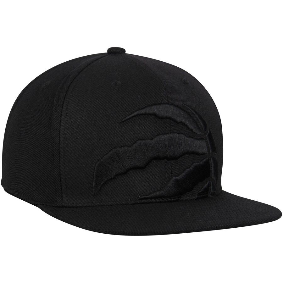 Raptors-Mitchell-Ness-Cropped-XL-Logo-Snapback-Black-2
