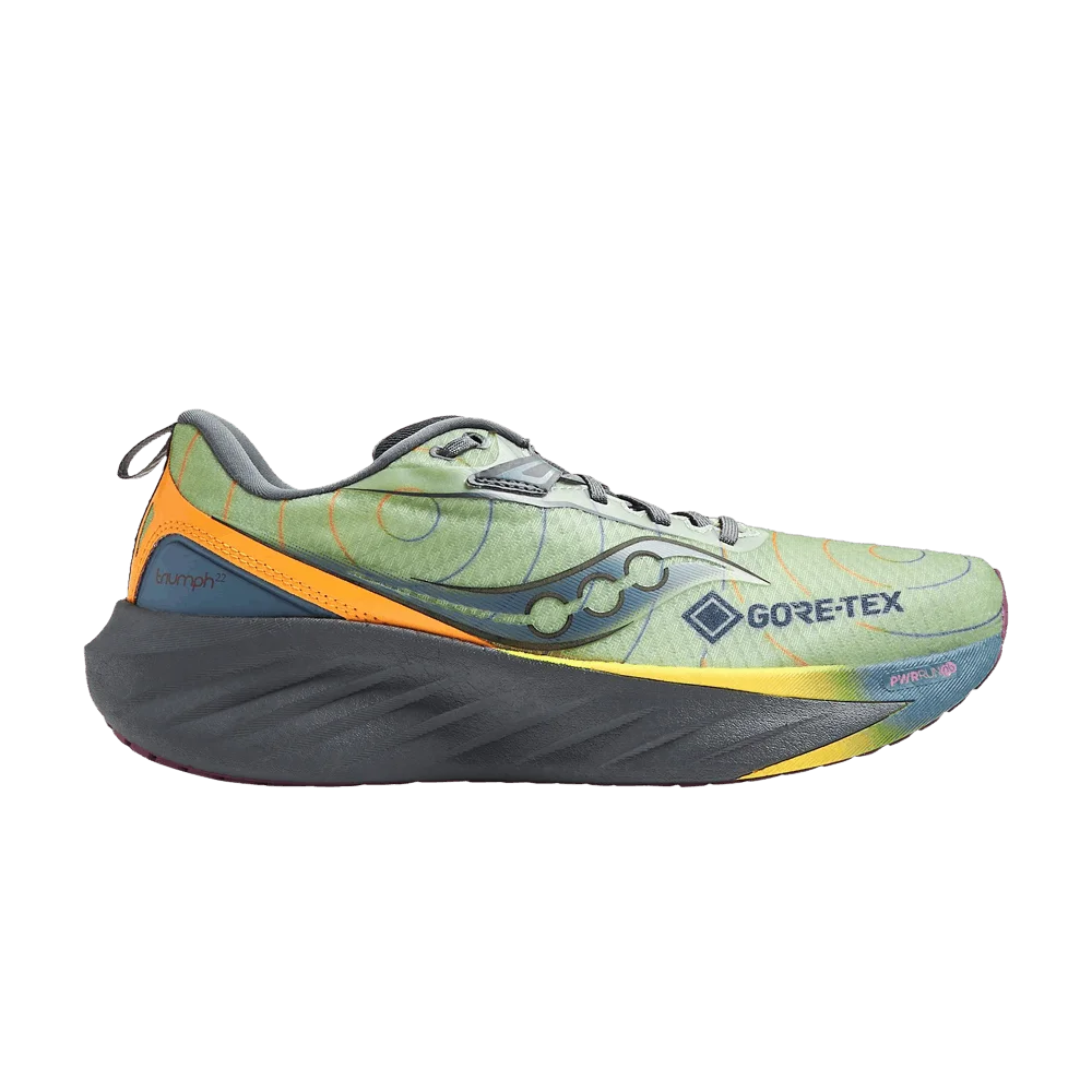 Кроссовки Saucony Triumph 22 GORE-TEX 'Sage Carbon'