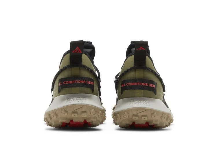 Кроссовки Nike ACG Mountain Fly Low SE 'Pilgrim'