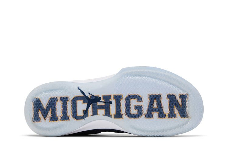 air-jordan-31-low-michigan-897564-425_03