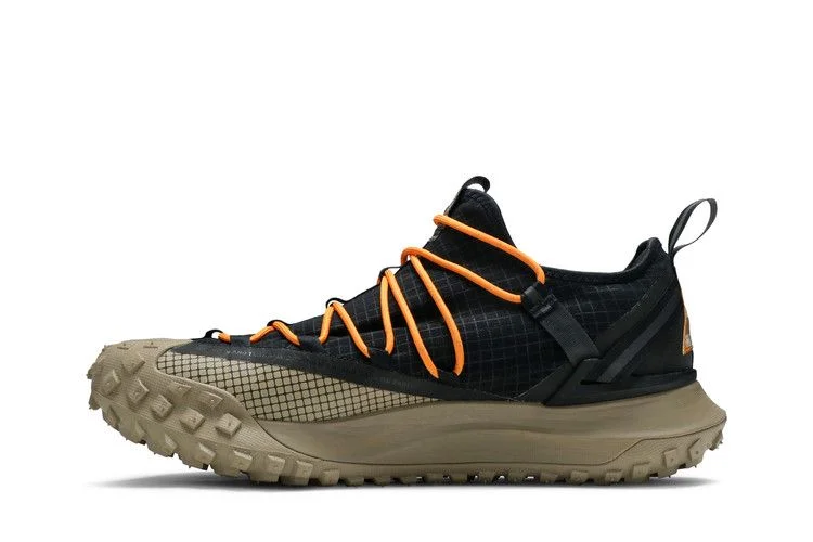 Кроссовки Nike ACG Mountain Fly Low 'Fossil Stone'