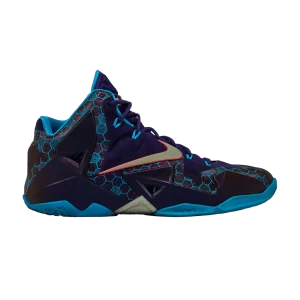 lebron-11-hornets-616175-500-300x300