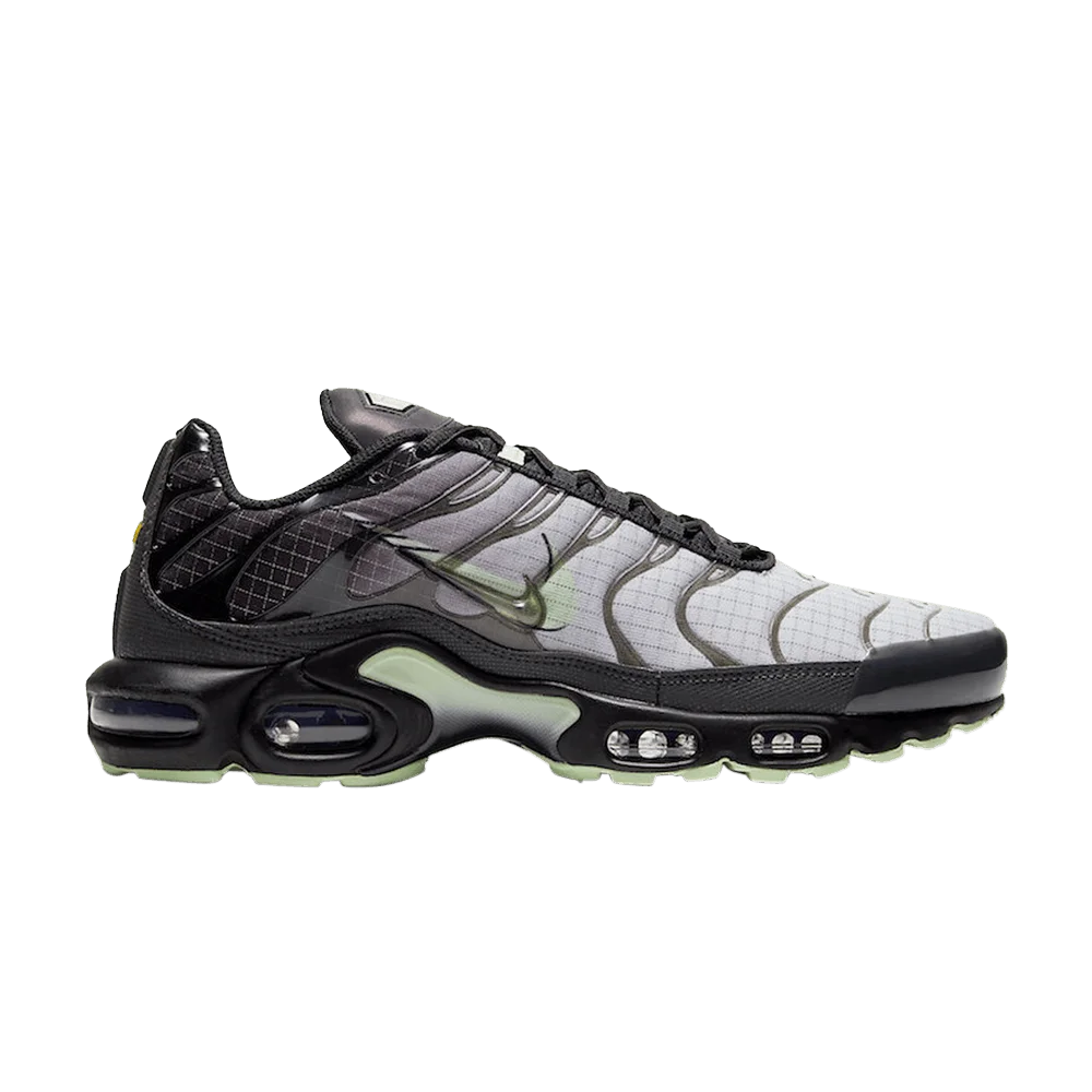 Кроссовки Nike Air Max Plus 'Future Swoosh'
