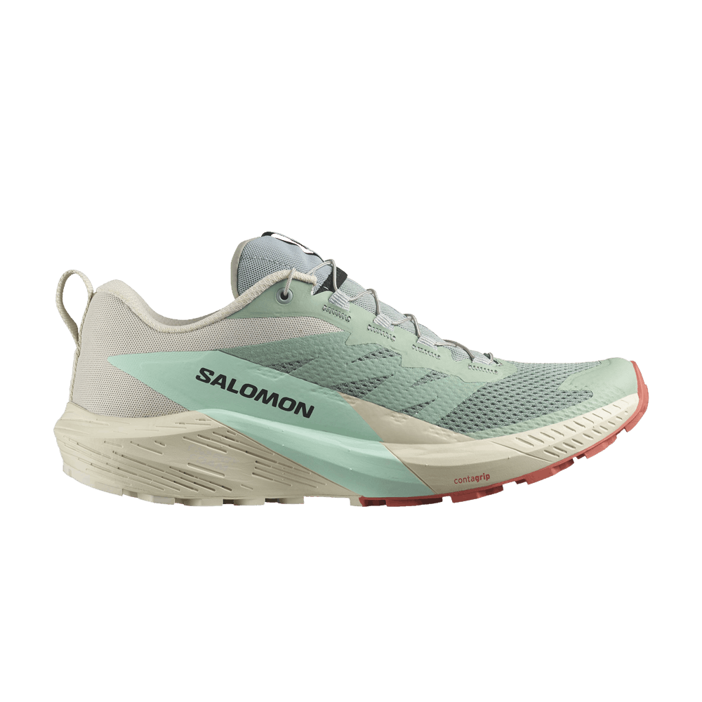 Кроссовки Salomon Sense Ride 5 'Lily Pad Rainy Day'
