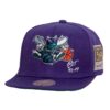 Mitchell-Ness-Jersey-Love-Snapback-HWC-Charlotte-Hornets-Hat-100x100