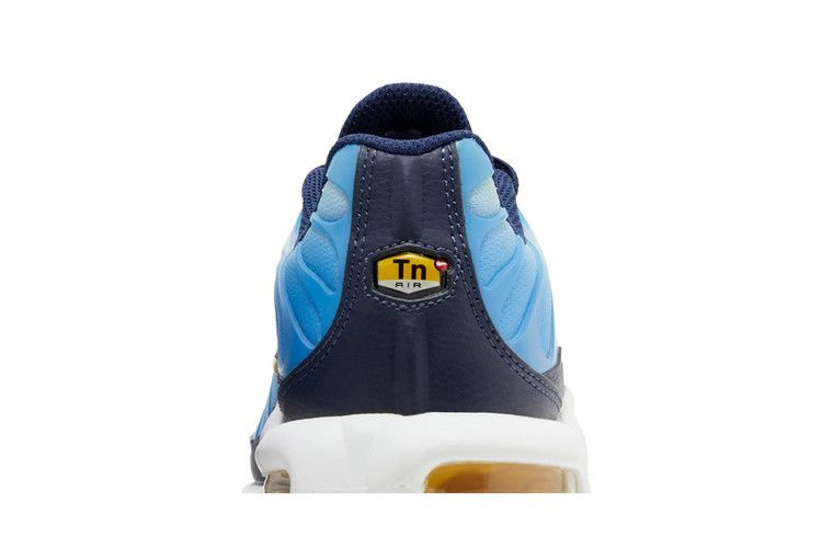 Кроссовки Nike Wmns Air Max Plus 'University Blue Topaz Gold'