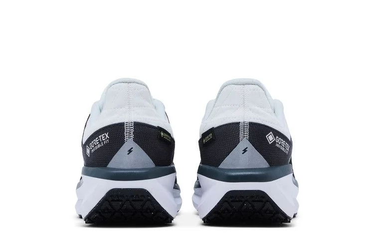 Кроссовки Nike Air Winflo 11 GORE-TEX 'Anthracite'