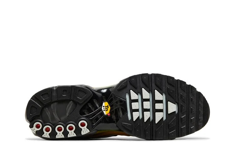 Кроссовки Nike Air Max Plus 'Bronzine'