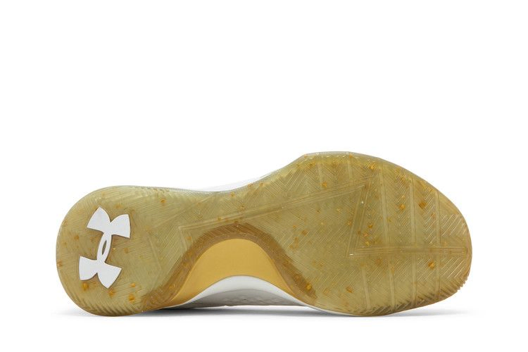 Кроссовки Under Armour Curry 1 Low 'Championship'