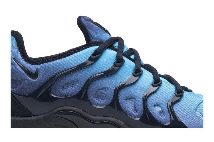 Кроссовки Nike Air VaporMax Plus 'Photo Blue'