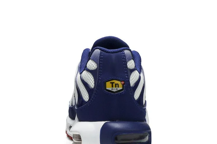 Кроссовки Nike Air Max Plus 'Red White Blue'