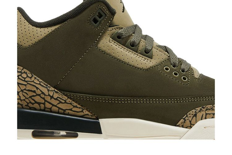 Кроссовки Air Jordan 3 Retro GS 'Family Affair'