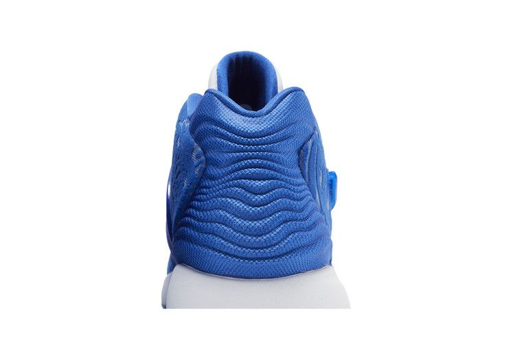 Кроссовки Nike KD 14 TB 'Game Royal'
