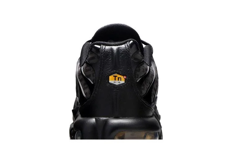 Кроссовки Nike Air Max Plus 'Black'