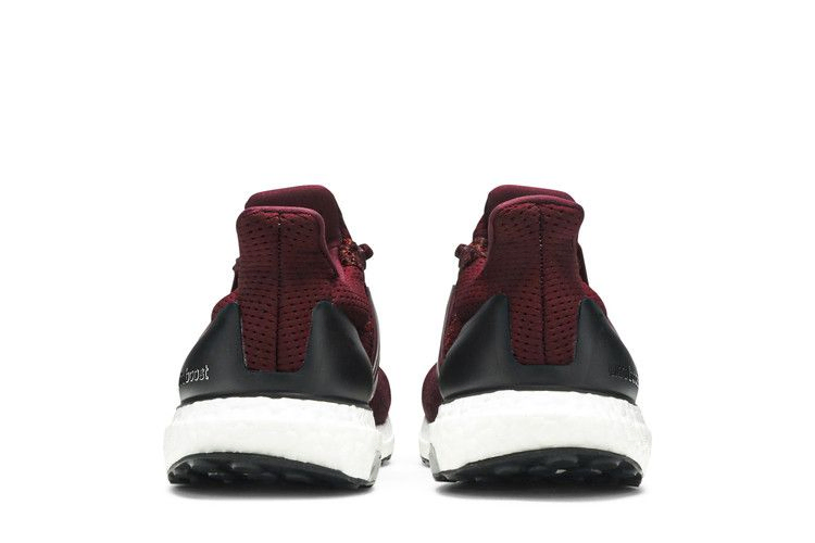 Кроссовки adidas UltraBoost 1.0 Limited 'Burgundy'