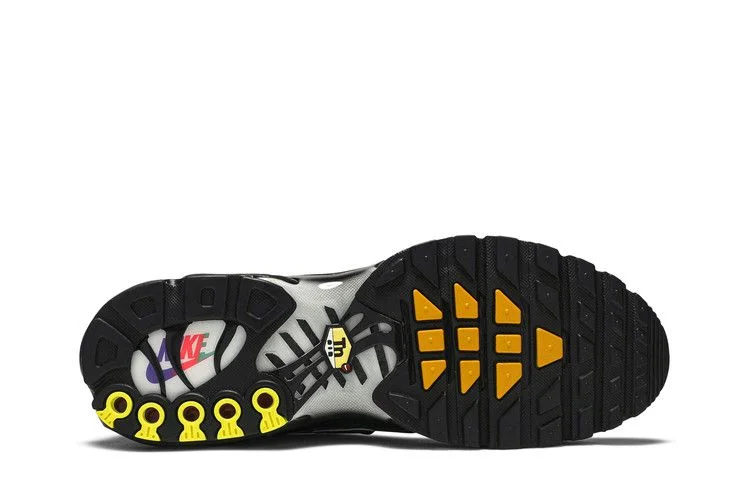 Кроссовки Nike Air Max Plus TN 'Black Multi'