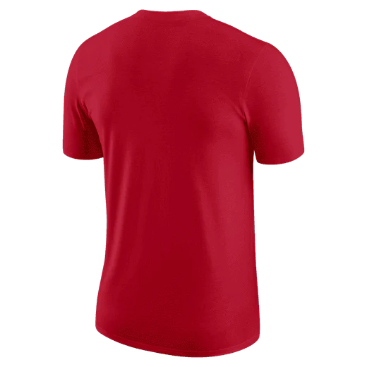 Футболка Nike Chicago Bulls Essential Club Logo T-Shirt