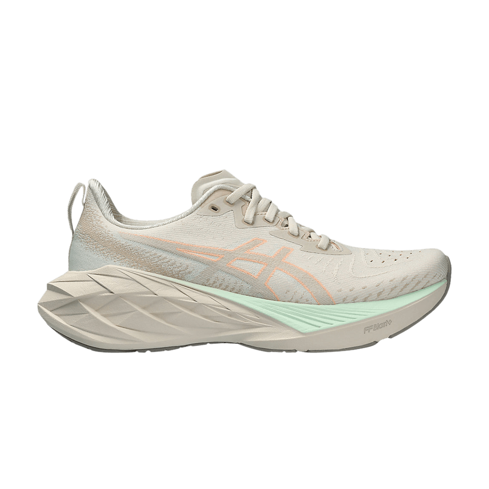 Кроссовки Asics Wmns Novablast 4 Wide 'Oatmeal Moonrock'