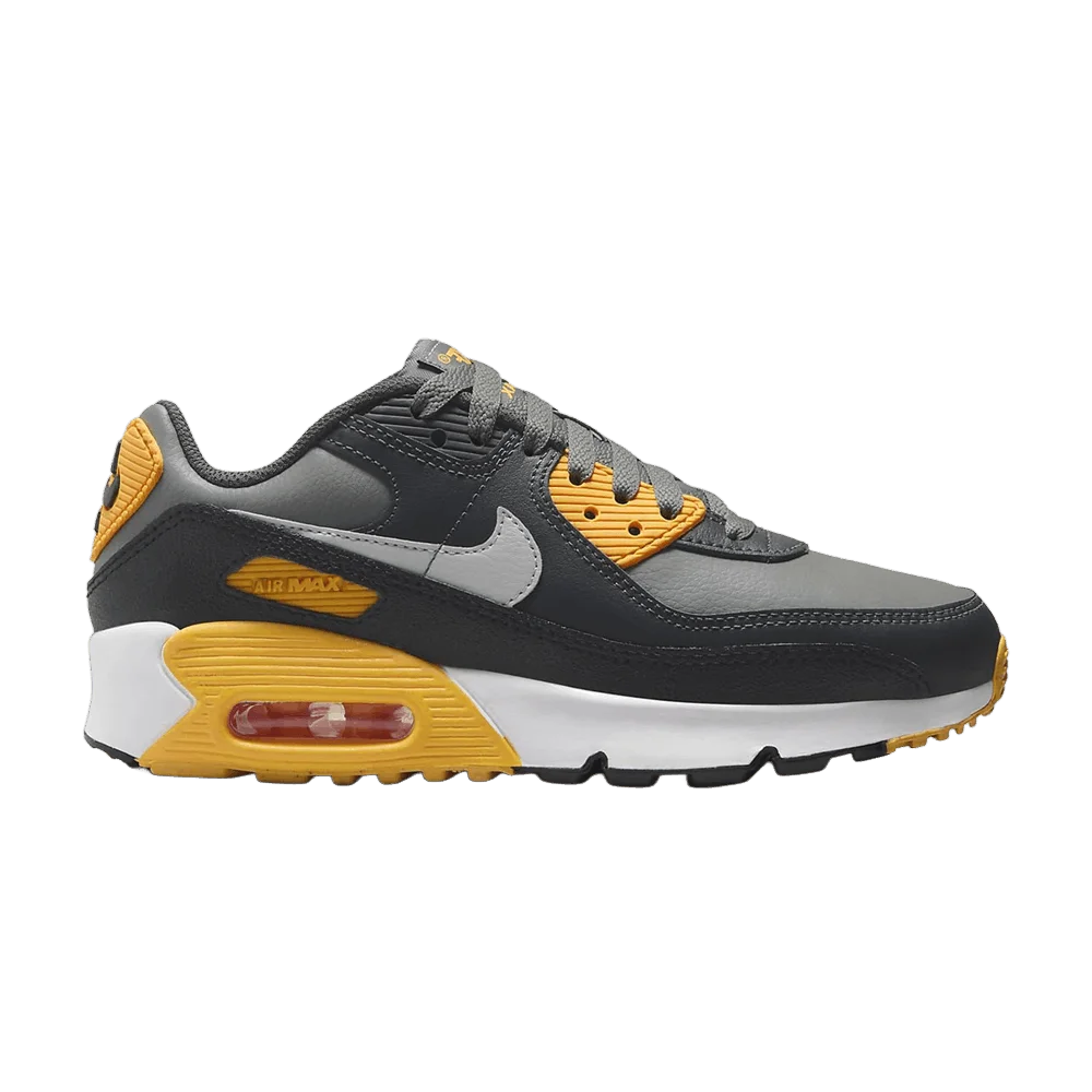 Krossovki-Nike-Air-Max-90-GS-Smoke-GreyAnthraciteWhiteLight-Smoke-Grey